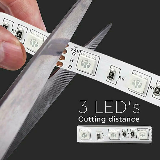 V-TAC Ταινία LED 24V Ψυχρό Λευκό Φως 5m Τύπου SMD5050