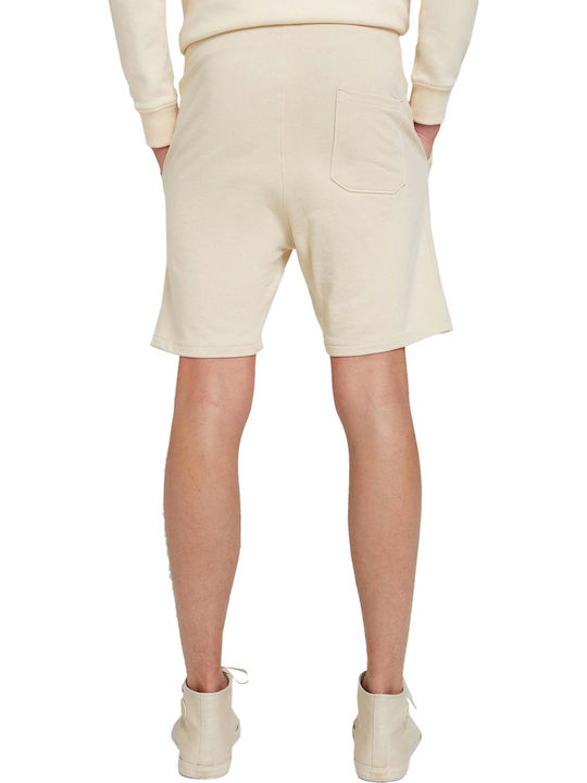 Tom Tailor