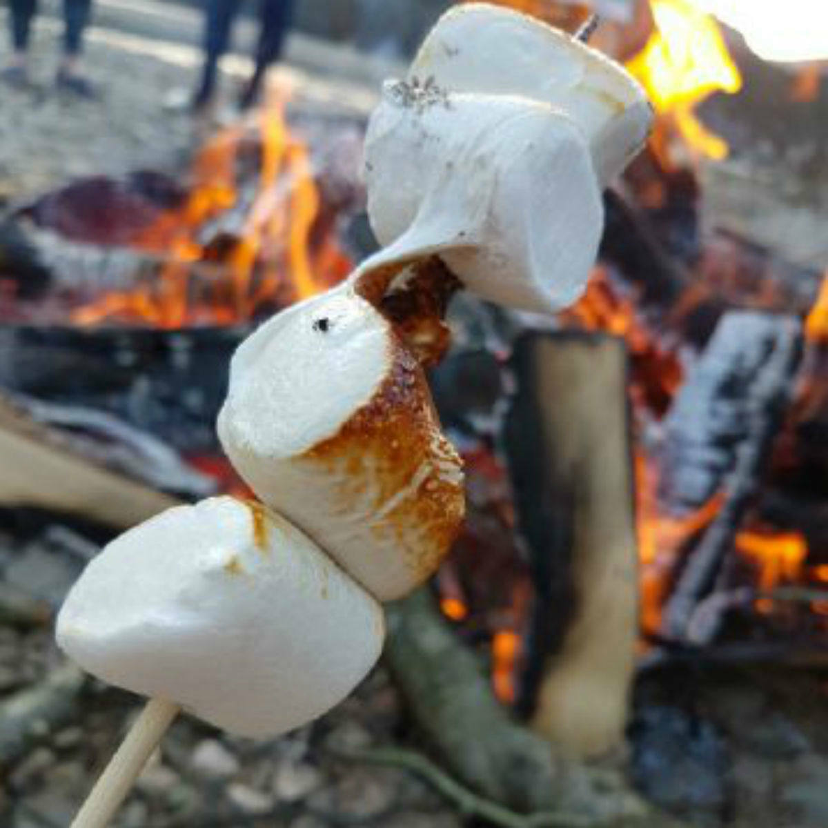Not Just BBQ Ζαχαρωτά Marshmallows με Ξυλάκια για Μπάρμπεκιου 250gr