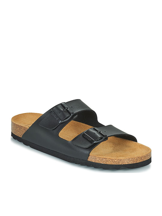 Scholl Scholl