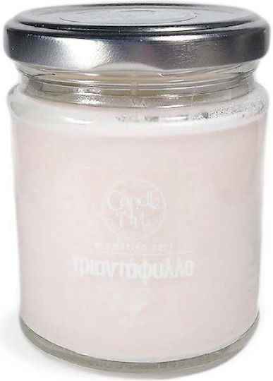 Candle n'Art Αρωματικό σε Βάζο Candle n'Art Αρωματικό σε Βάζο