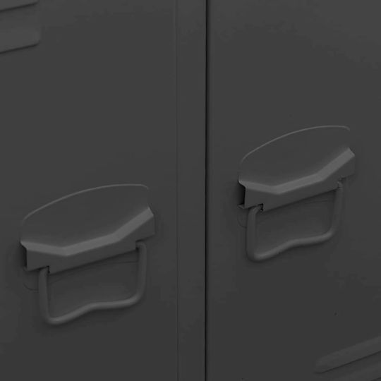 Double Door Wardrobe Metallic with Divider & 2 Shelves Charcoal 67x35x107cm