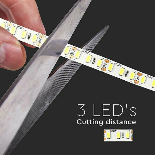 V-TAC Ταινία LED 12V Ψυχρό Λευκό Φως 5m Τύπου SMD2835