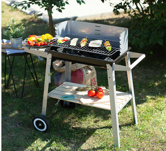 Livoo Charcoal Grill 88cmx33cm