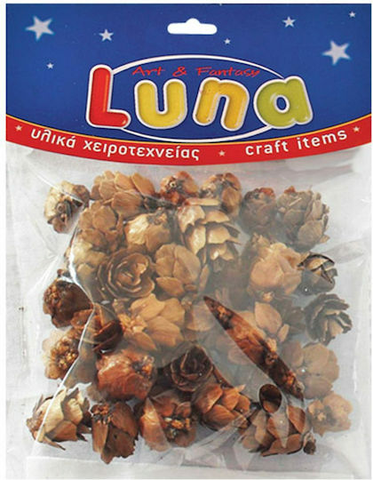 Luna Articol de artizanat 20gr