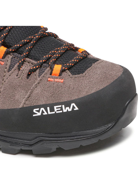 Salewa Alp Trainer 2 GTX Men's Hiking Shoes Waterproof with Gore-Tex Membrane Brown