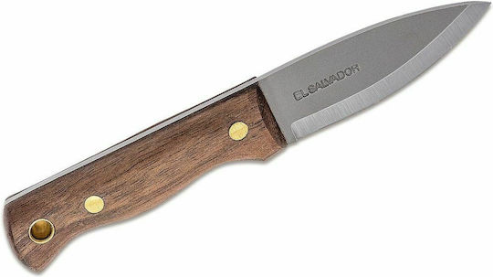 Condor Tool & Knives Mini Bushlore Messer Braun in Hülle