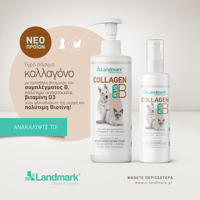 Landmark Collagen Plus B Hyaluronic Acid Syrup for Dogs and Cats 500ml