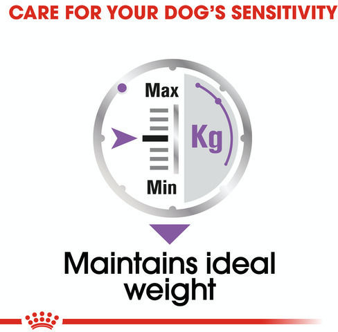 Royal Canin Sterilised Wet Food Dogs in Pouches with Meat 6x85gr
