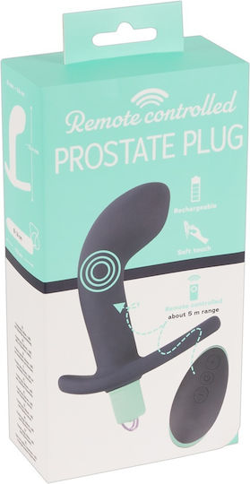 You2Toys Remote Controlled Prostate Plug Anal Plug with Wireless Functionality and Vibration Purple