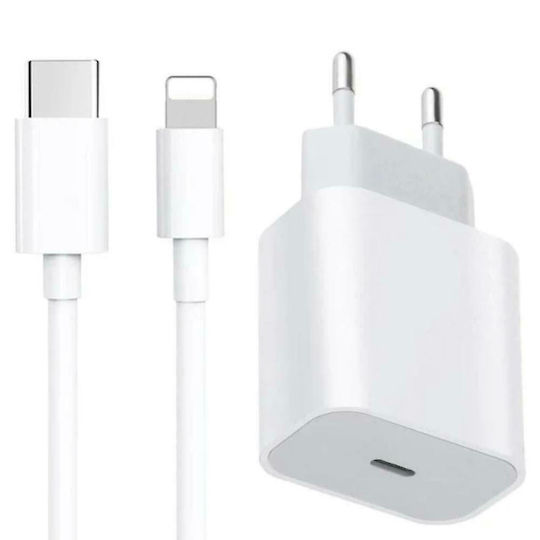 PZX Charger with USB-C Port and Cable USB-C - Lightning 20W Whites (PZX P41)