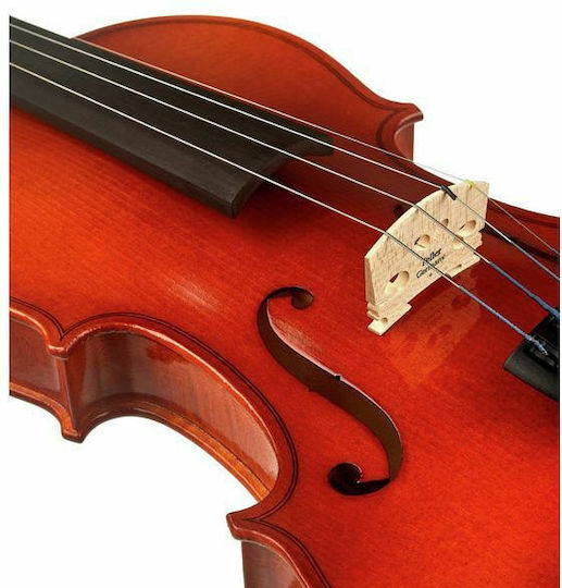 Franz Sandner Schönbach Violin Mod.101 4/4 Βιολί