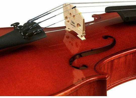 Franz Sandner Schönbach Violin Mod.101 4/4 Βιολί