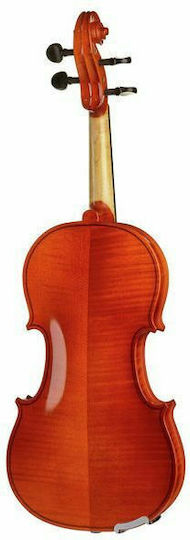 Franz Sandner Schönbach Violin Mod.101 4/4 Βιολί