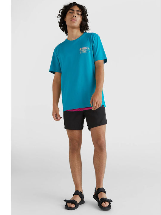 Frame Block Men's Swimwear Shorts Multicolour Striped