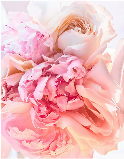 Bvlgari Rose Goldea Eau de Toilette 75ml