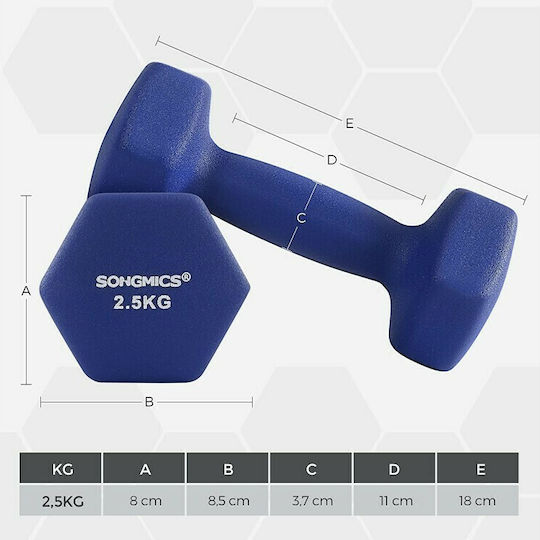 Songmics Комплект варели шестоъгълни от винил 2бр Общо тегло 2.5кг