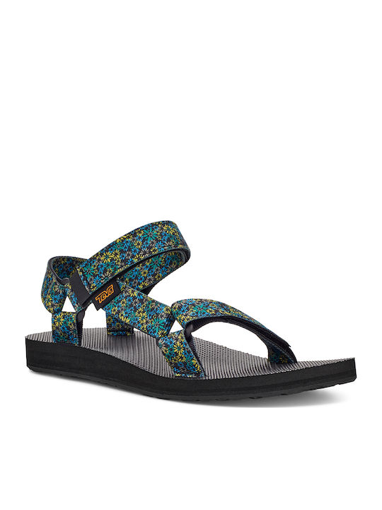 Teva Teva