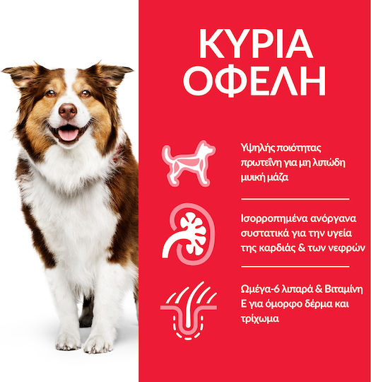 Hill's Science Plan Mature Adult 7+ Medium 14kg Dry Food for Senior Medium Breed Dogs with Chicken