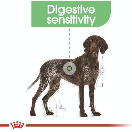Royal Canin Digestive Care Maxi 12kg Dry Food for Adult Large Breed Dogs with Poultry and Rice
