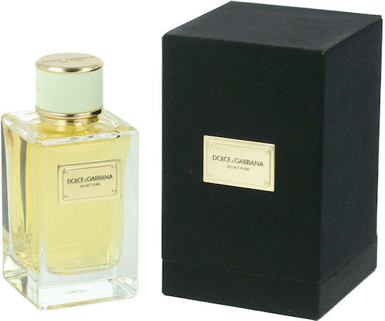 Dolce & Gabbana Velvet Pure Eau de Parfum 150ml