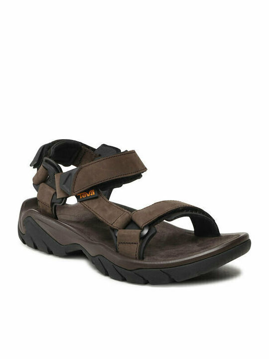 Teva