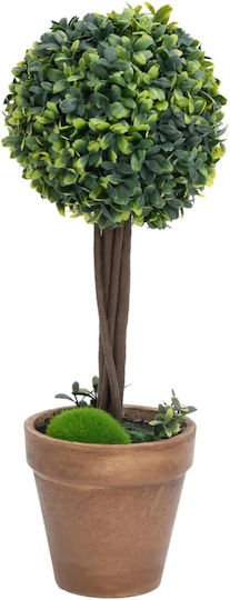 Buxus in Topfpflanze 2 Stück vidaXL