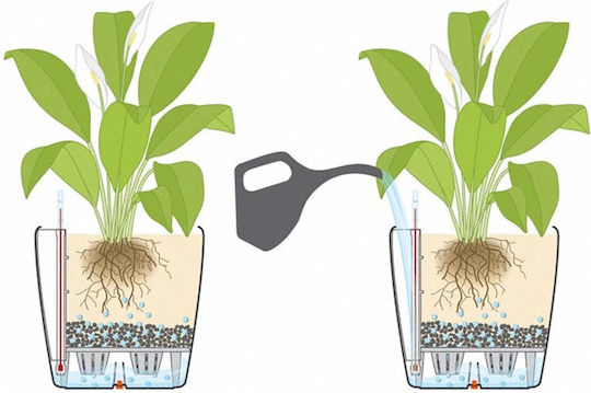 Lechuza Classico Self-watering Pot Plastic 21.5x21.5x20cm.
