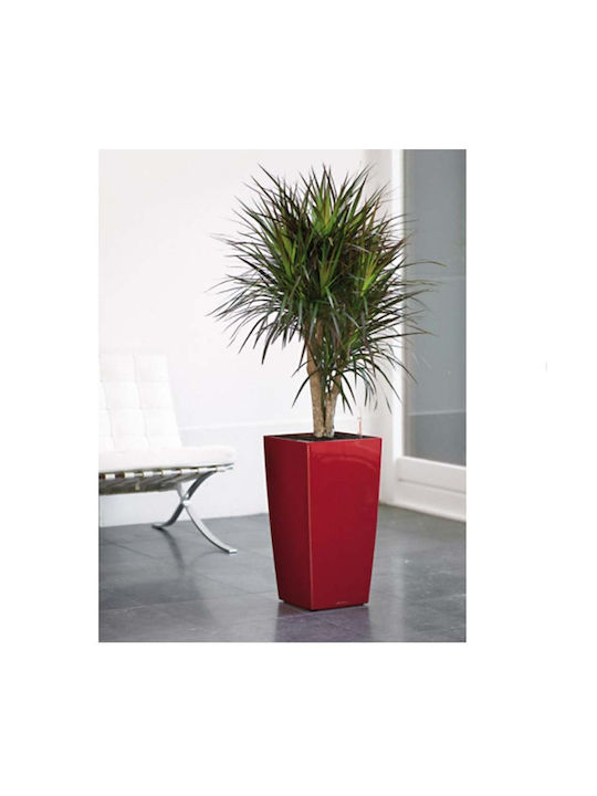 Lechuza Cubico Premium Self-watering Pot Plastic Scarlet Red High-Gloss 40x40x75cm.