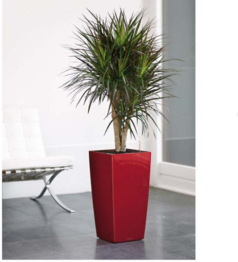 Lechuza Cubico Premium Самополивен Саксия Пластмаса Scarlet Red High-Gloss 40x40x75см.