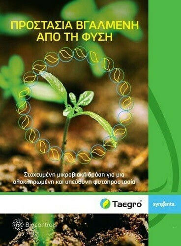 Syngenta Taegro Βιολογικό Μυκητοκτόνο σε Σκόνη 375gr