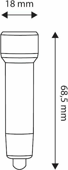 Entac Schlüsselanhängerlampe LED Wasserdicht IP44 mit maximaler Helligkeit 30lm EFL-5LED-KC Blau