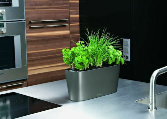 Lechuza Delta Self-watering Planter Box Plastic Gray 40x15x18cm.