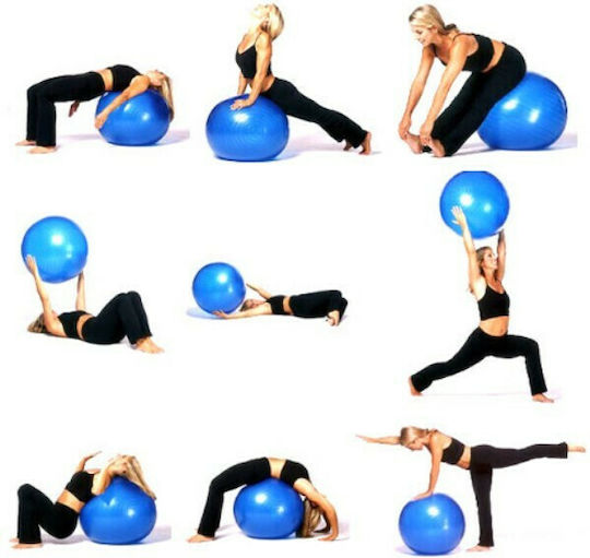 King Lion Ball Pilates 55cm in Red Color