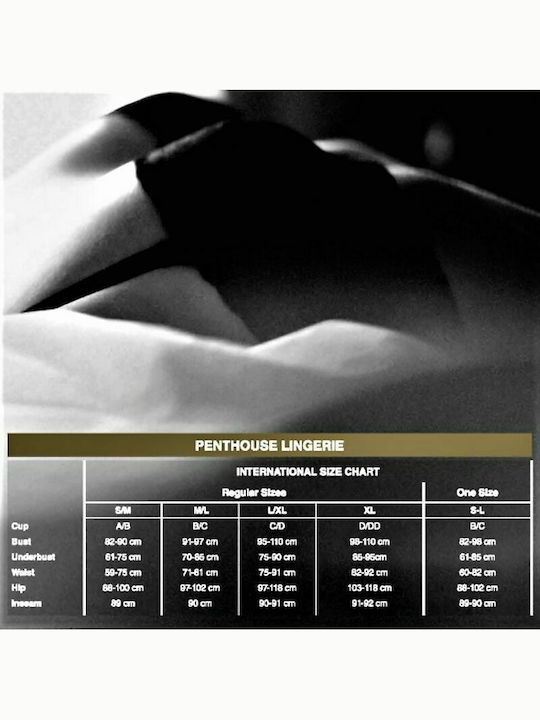 Penthouse Be Mine Mesh Teddy Black