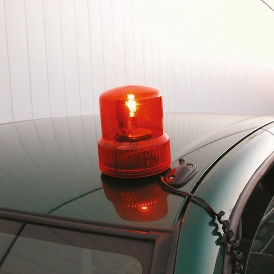 Carpoint Far Auto 12V cu Portocaliu Iluminare