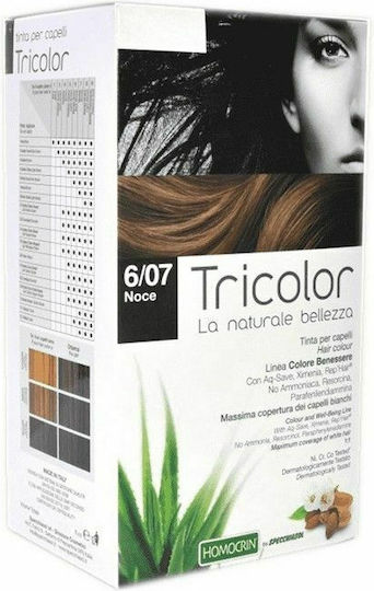 Specchiasol Tricolor Haarfärbemittel Kein Ammoniak 6/07 Kastanie 192ml
