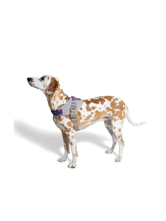 Zee-Dog Dog Harness Vest Agg Fly Size 1 Beige X-Small 34-49cm 390297