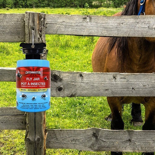 Agroza Fly Jar Trap Pestizid 1Stück