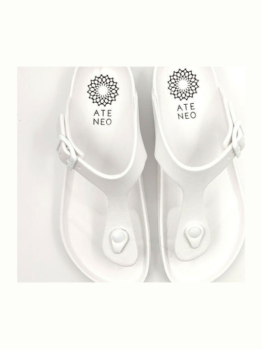 Women's Flip Flops in Sandal Style in White Color