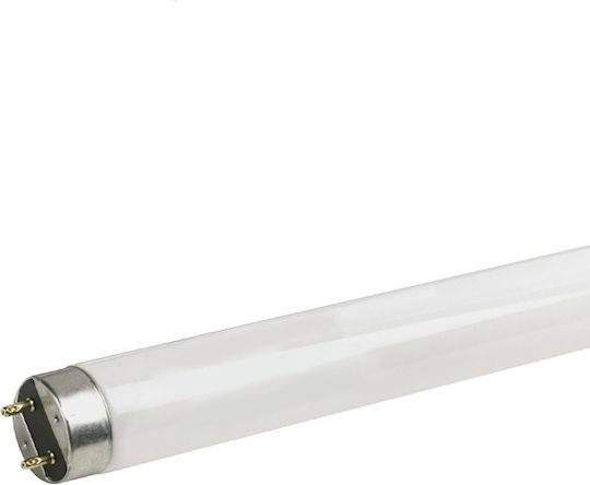 Aca Aca Leuchtstofflampe mit T8 Form 30W