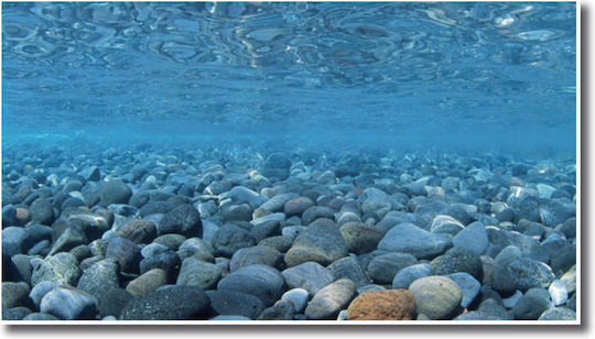 Wave Double Background Vision Aquarium Dekoration Poster