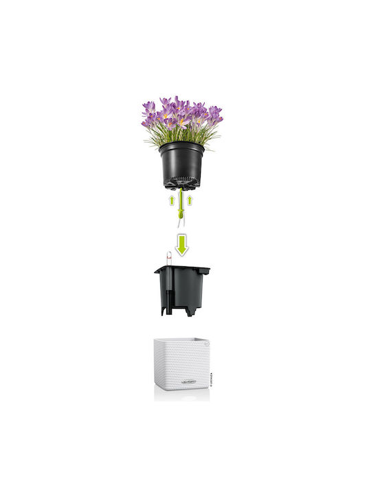 Lechuza Green Wall Set 3 Pots Plastic