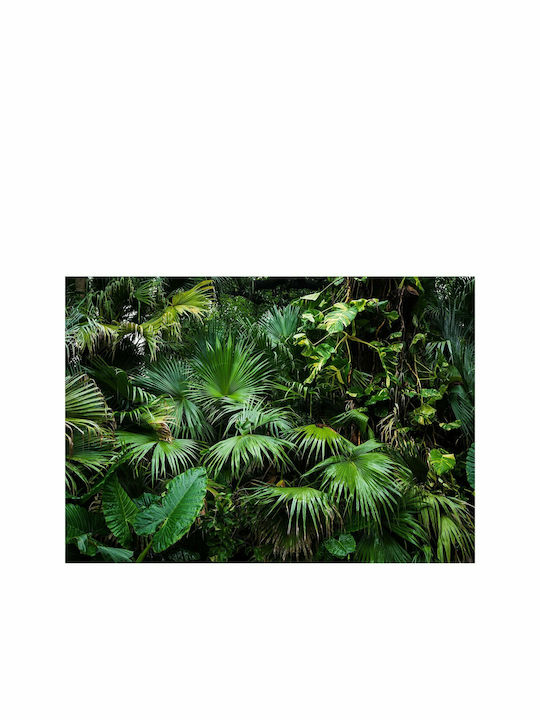 Fototapet de Perete 200x140cm Sunny Jungle Tesatura