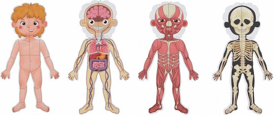 Tooky Toys Μαγνητικό Παιχνίδι Κατασκευών Μαθαίνω το Σώμα μου για Παιδιά 3+ Ετών