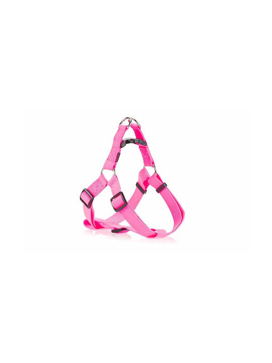 Pet Interest Type A X-Small 10mm x 26-40cm Pet Interest Type A X-Small 10mm x 26-40cm
