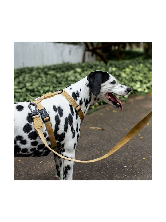 Zee-Dog Ham pentru câini H Harness Sand Bej Mediu 390053