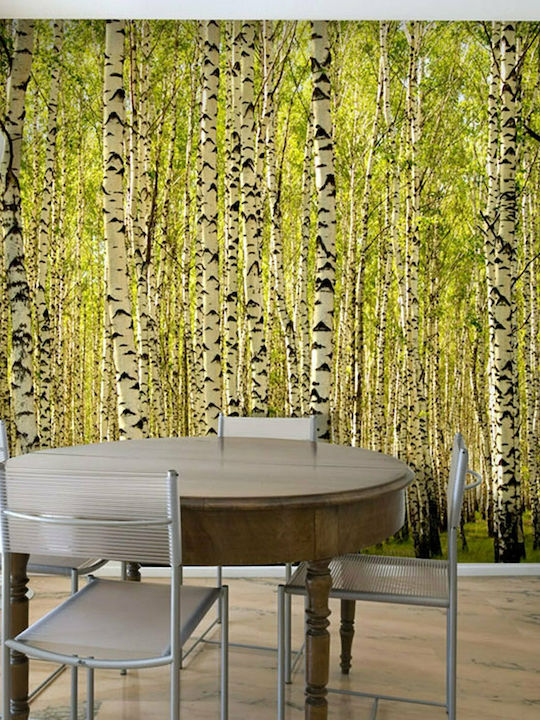 Fototapet de Perete 200x154cm Birch forest Tesatura