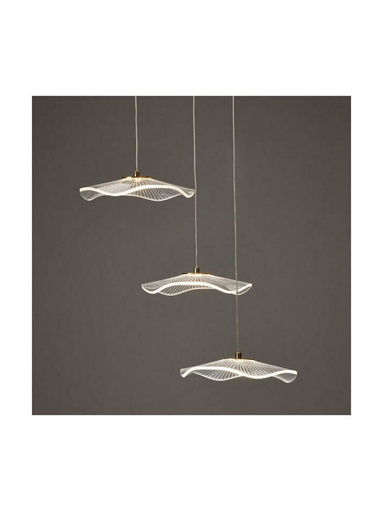 Aca Ninfea Pendant Light Gold 43x43x210cm