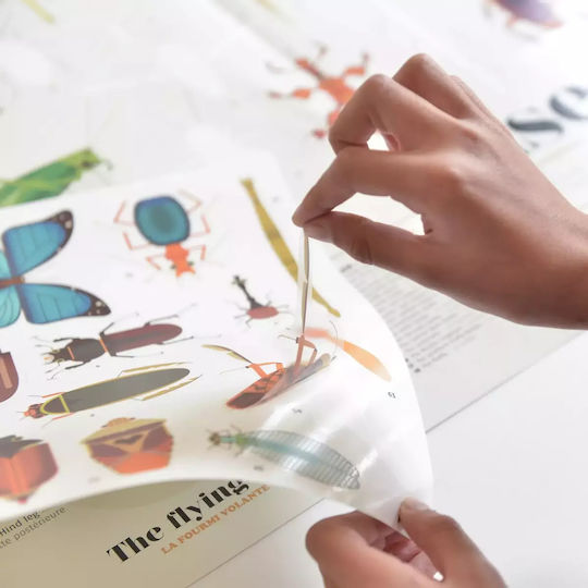 Poppik Aufkleber Discovery Stickers - Insects für Kinder 6+ Jahre+ Jahre